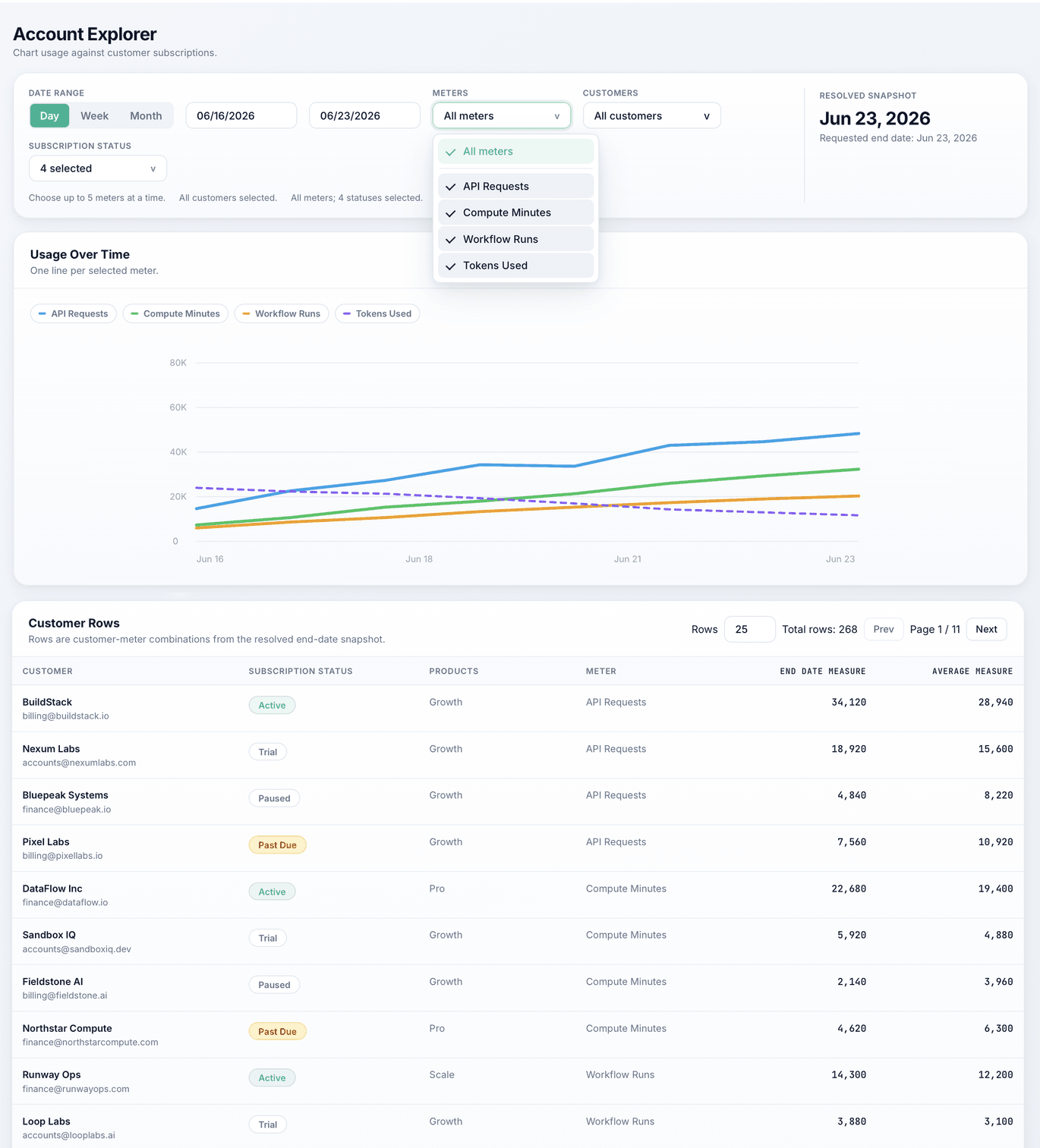 MeterMonitor Account Explorer view showing meter filters, a multi-line usage chart, and a customer rows table.